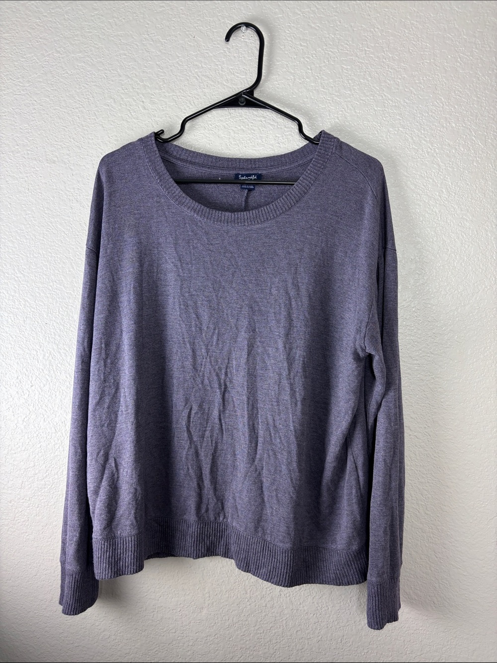 Splendid Purple Knit sweater blouse (L)